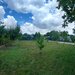 Proprietate exclusiva cu piscina, foisor si livada | 1.970 mp teren | 270 mp co